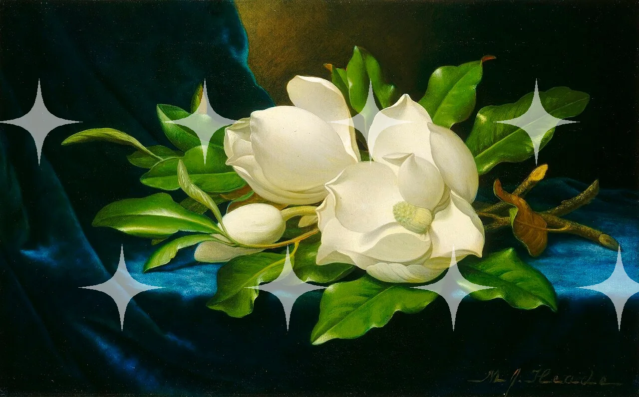 Martin_Johnson_Heade_Giant_Magnolias_on_a_Blue_Velvet_Cloth_NGA.jpg — photo 1