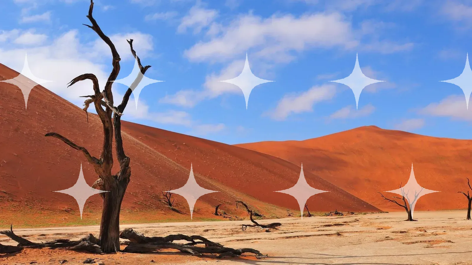 Dead Tree Against Red Dunes — photo 1