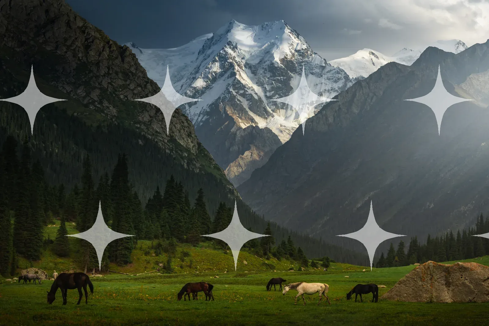 Horses Grazing Below Snow Peaks — photo 1