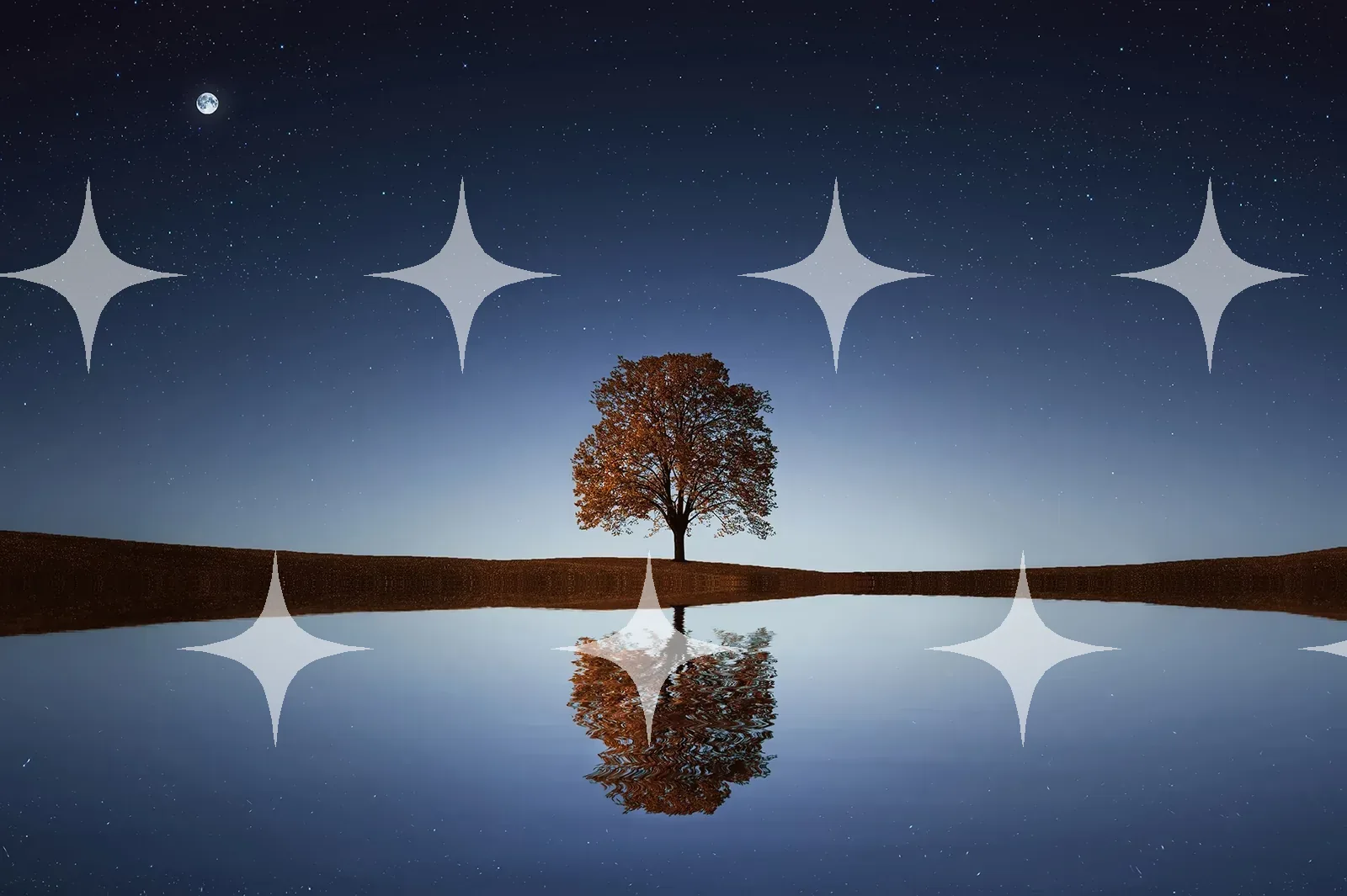Lone Tree Reflected at Dusk — photo 1