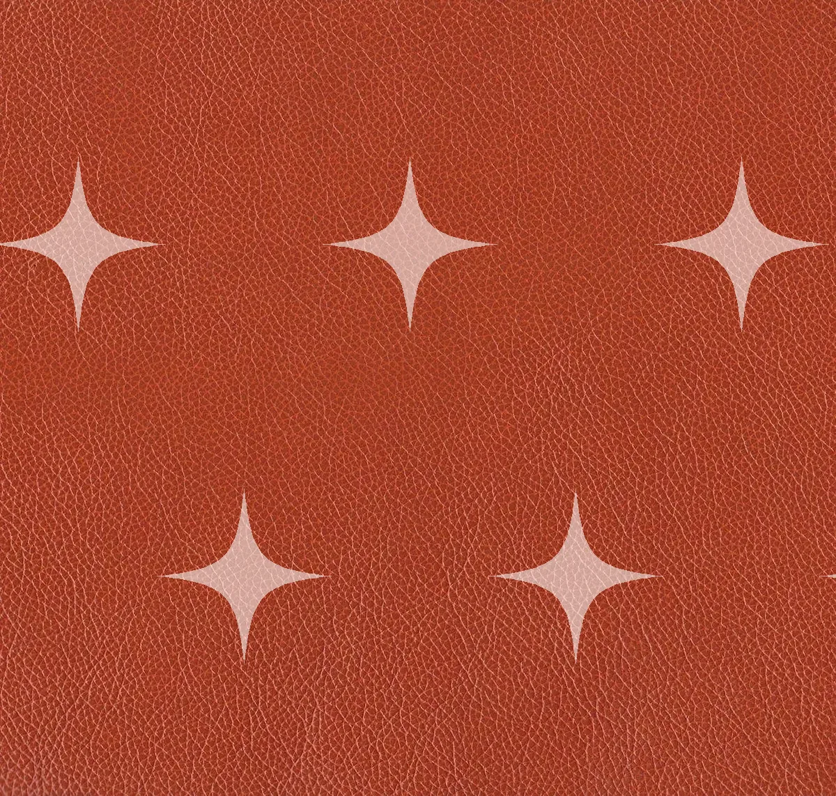 Pebbled Leather Swatch, Terracotta — photo 1