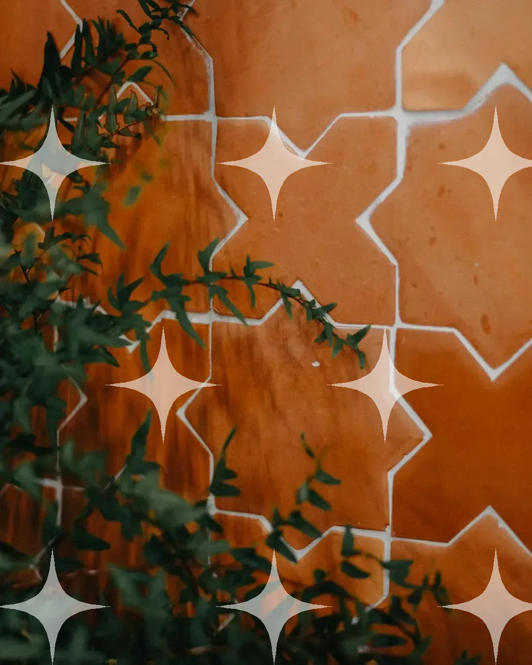 Terracotta Star Tiles with Foliage — photo 1
