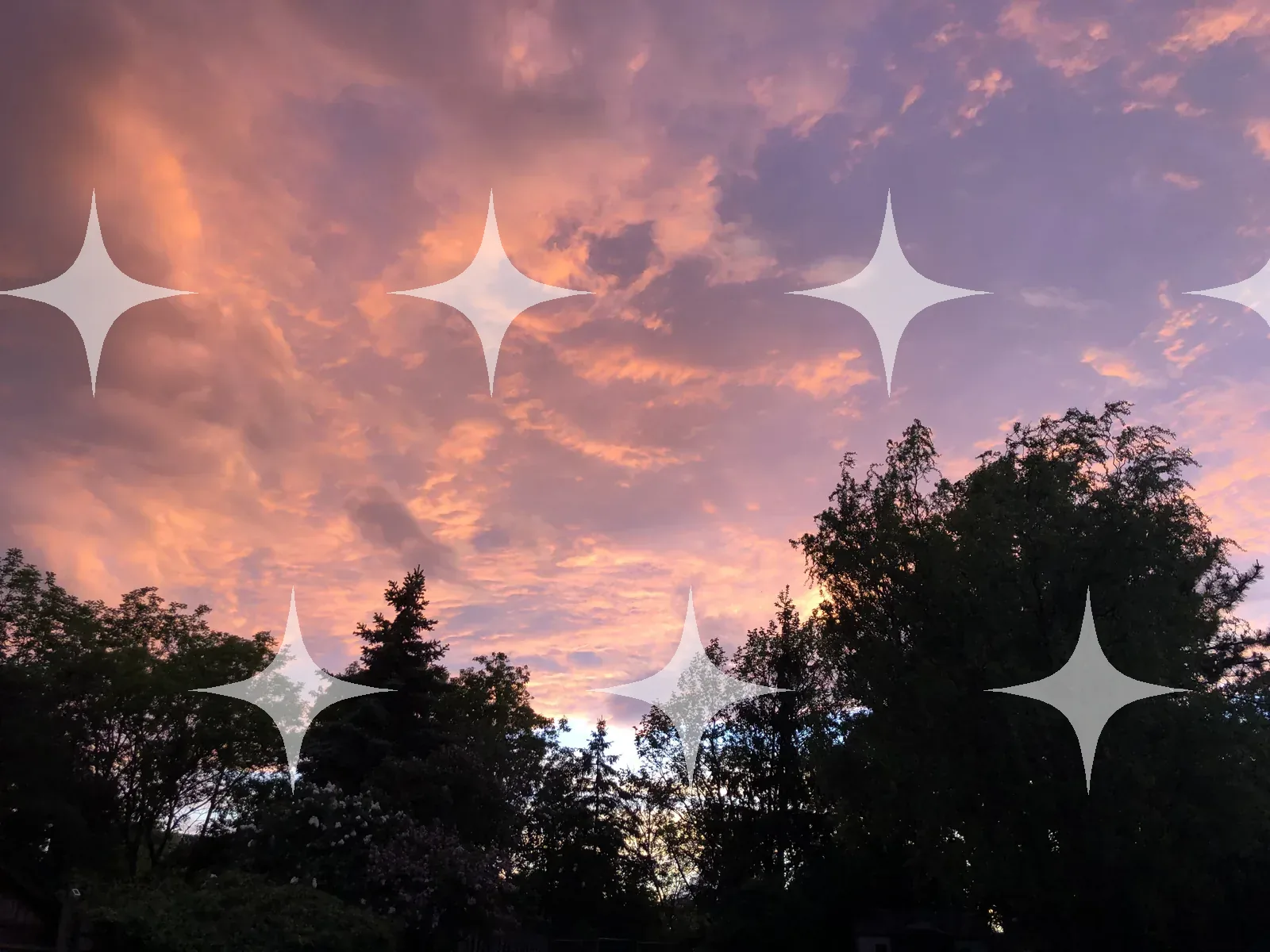 Pink Clouds Over Treeline — photo 1
